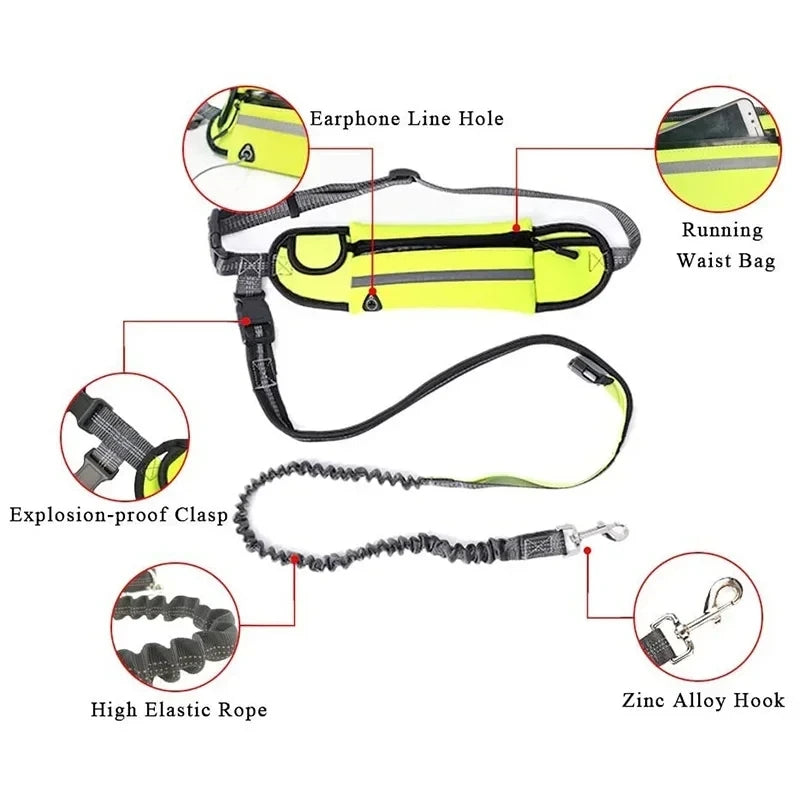 Hands-Free Dog Leash™