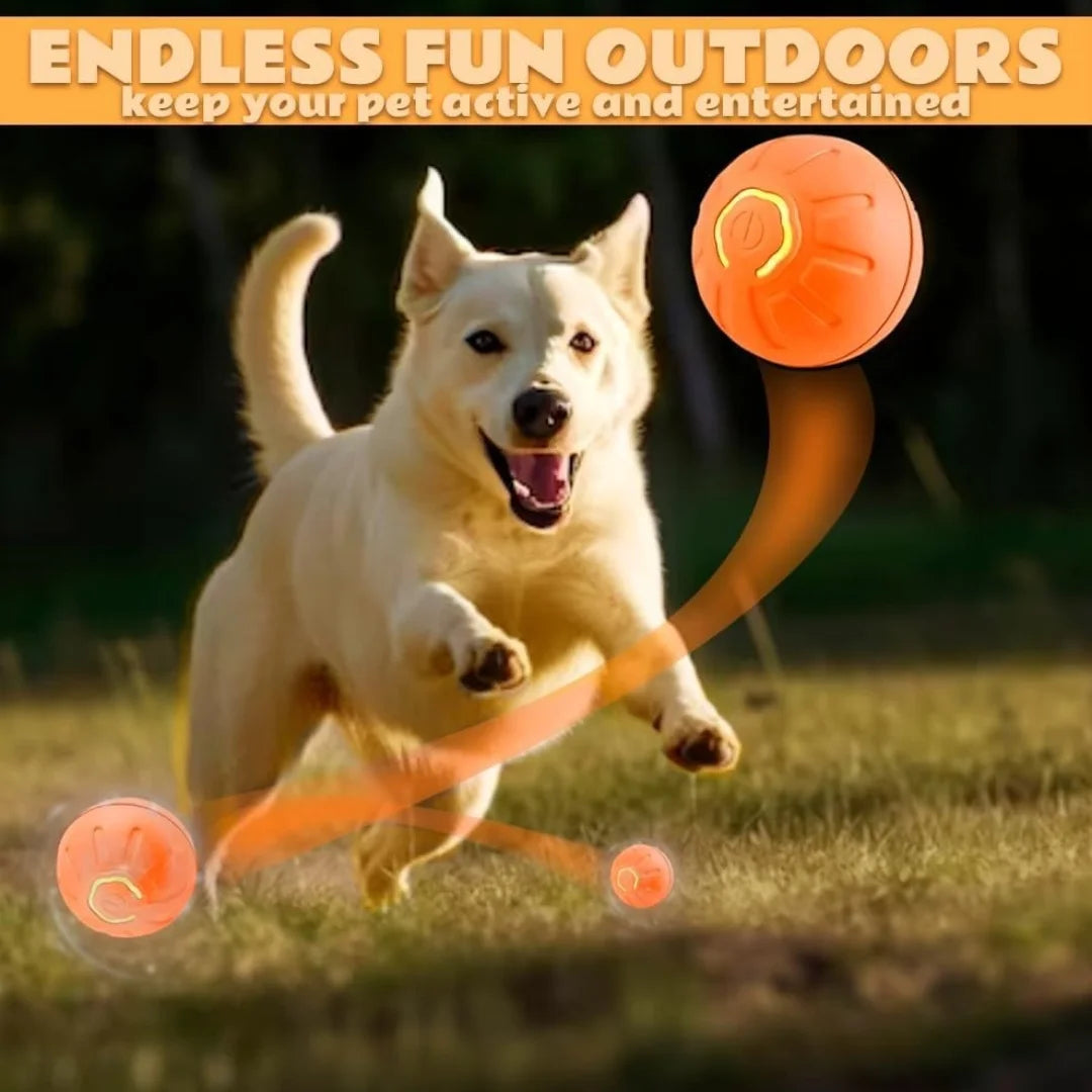 Smart Bouncing Pet Ball™