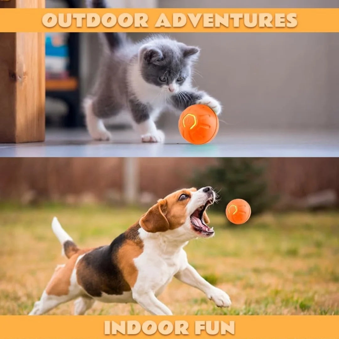 Smart Bouncing Pet Ball™