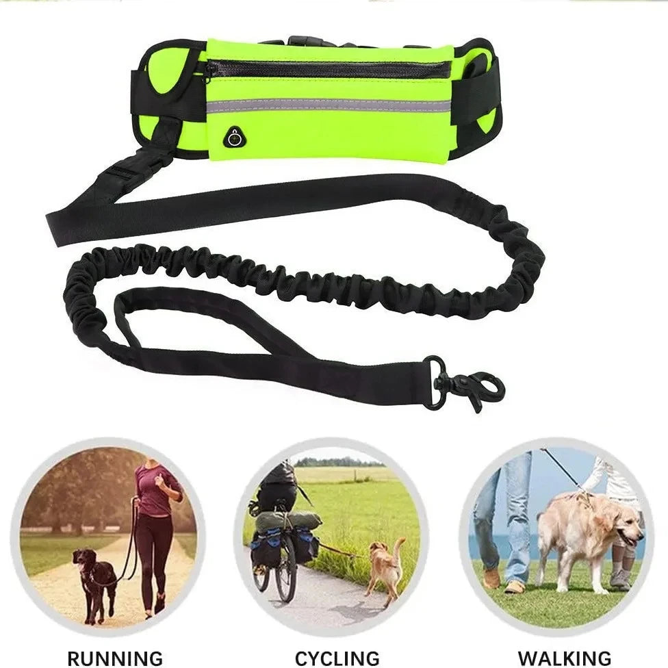 Hands-Free Dog Leash™
