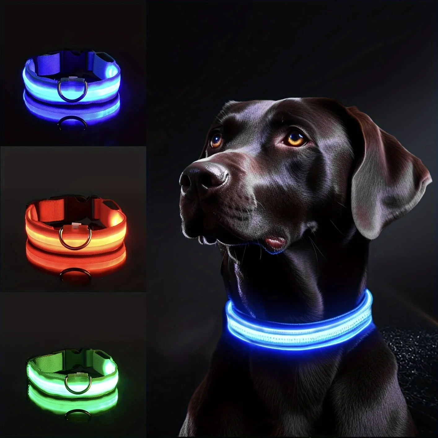 LED Dog Collar™